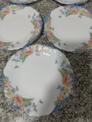 6 Platos Postre Arcopal Florine , 5€ Unidad