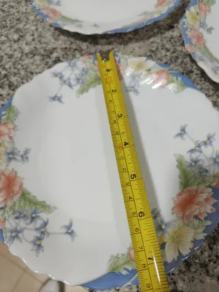 6 Platos Postre Arcopal Florine , 5€ Unidad