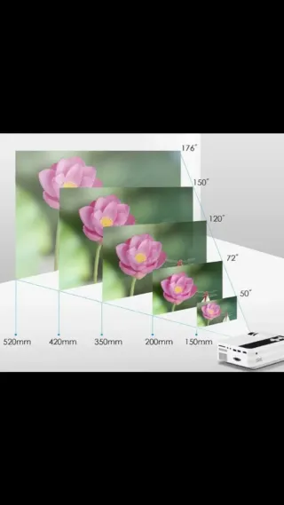 Proyector LED Portátil Blanco y Negro