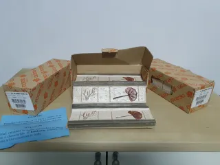 Conjunto de 18 Baldosas Cerámicas Decoradas