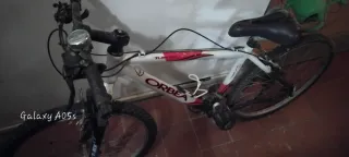 Bicicleta de montaña