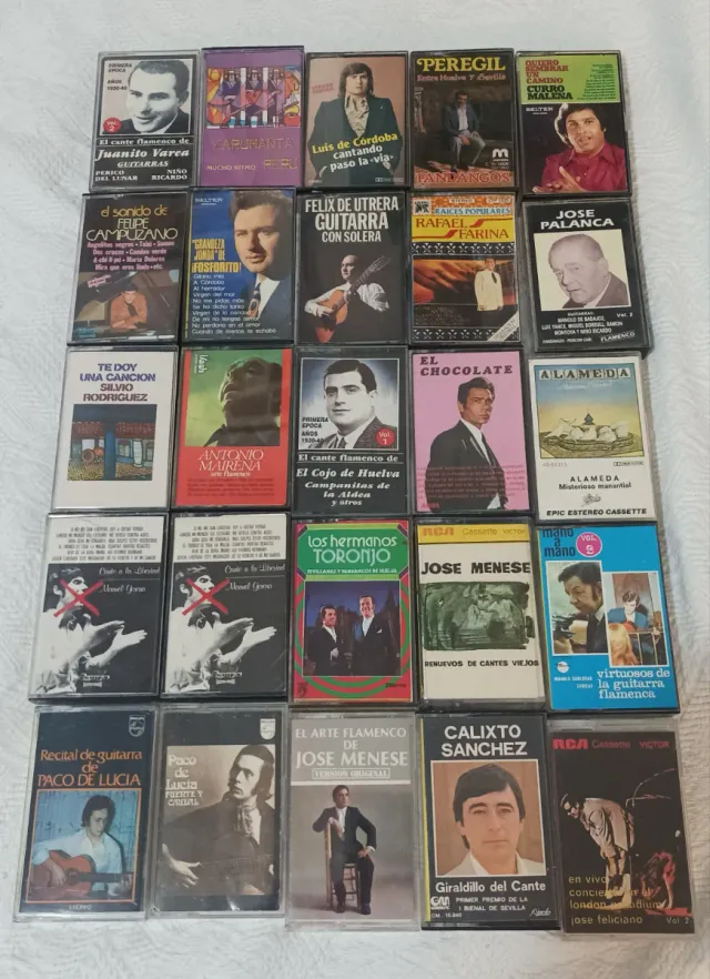 LOTE 25 CASSETTES FLAMENCO