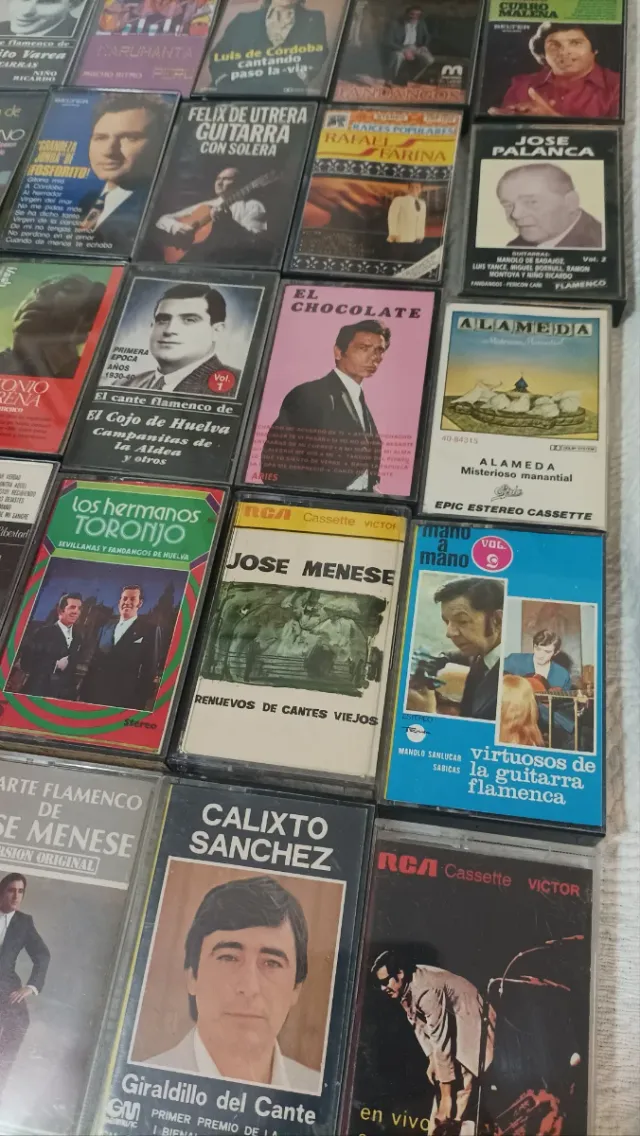 LOTE 25 CASSETTES FLAMENCO
