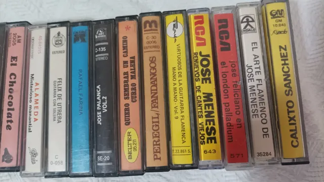 LOTE 25 CASSETTES FLAMENCO