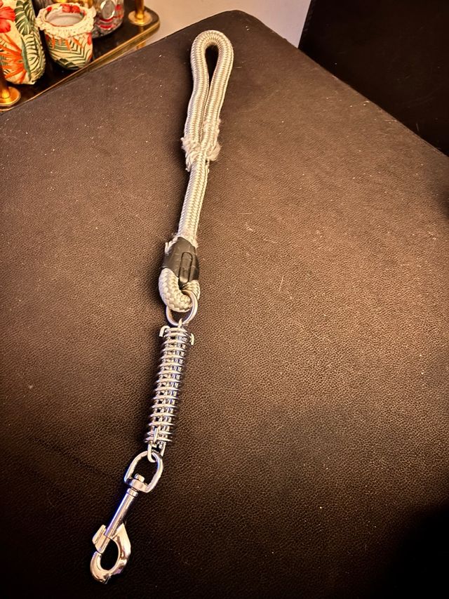 Correa para perro con resorte