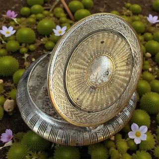 Antica cipriera anni '30 argento vermeil