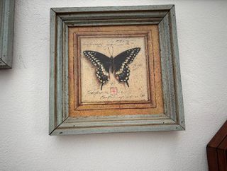 Quadro in legno con farfalla