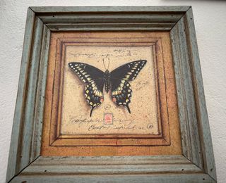 Quadro in legno con farfalla