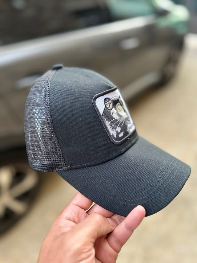 Gorra Goorin Bros Negra con Diseño de Pantera