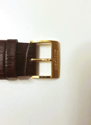 Orologio Citizen Eco-Drive Uomo Oro Pelle Marrone