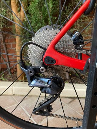 Canyon Endurace CF SL Disc 8.0 Talla L