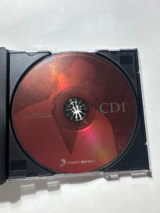 Julio Iglesias 2CD The Dutch Collection