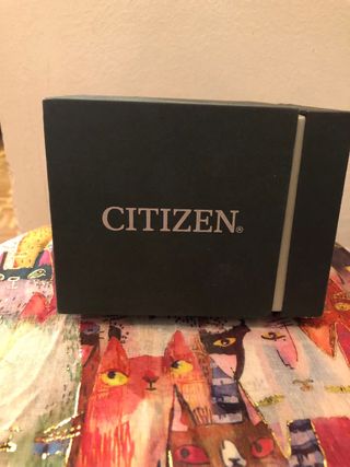 Reloj Citizen Eco-Drive AW1410-32X