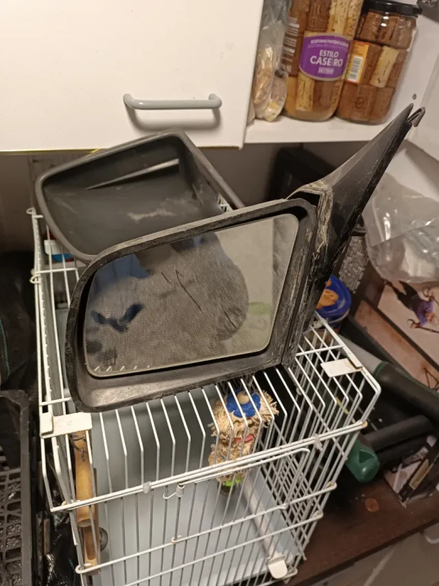 Piezas Opel Vectra A