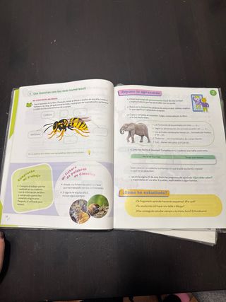 CIENCIAS DE LA NATURALEZA MADRID 3 PRIMARIA CON...