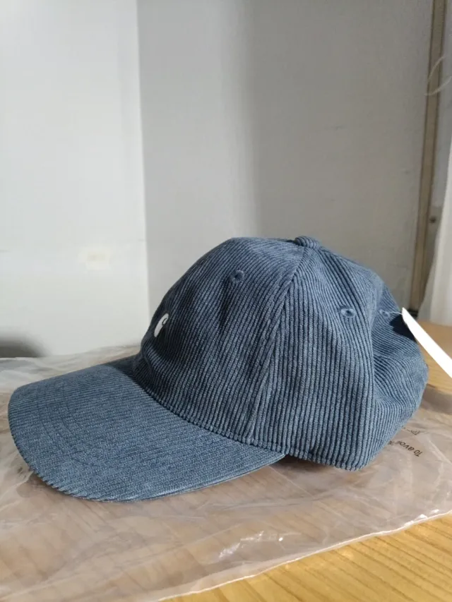 Gorra Carhartt Pana Azul
