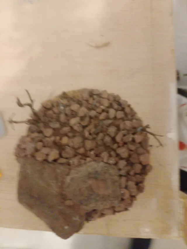 Escenografía diorama