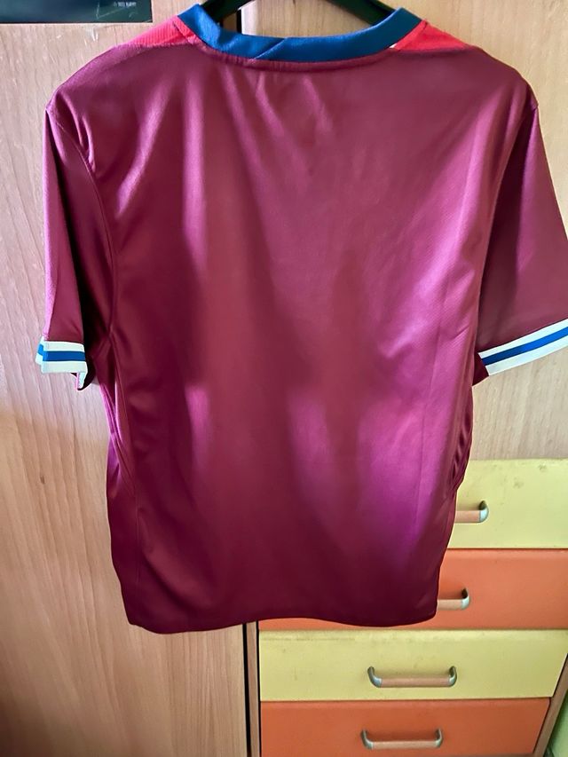 Camiseta Nike Noruega