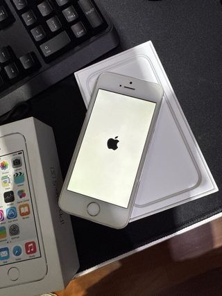 Apple iPhone 5S argento 16gb