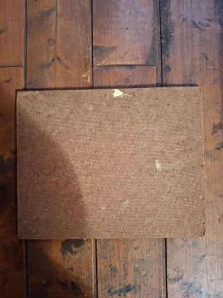 Cuadro mediano de margaritas