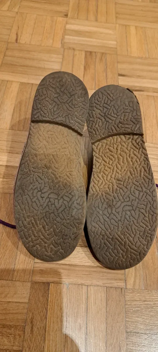 Botas Pisamierdas moradas ante