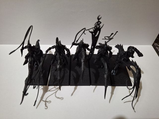 Warhammer Chaos Hedonite of Slaanesh