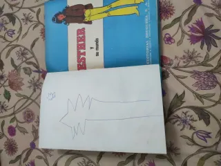 Esther y su mundo Fazmolas novela serie azul 1 ...