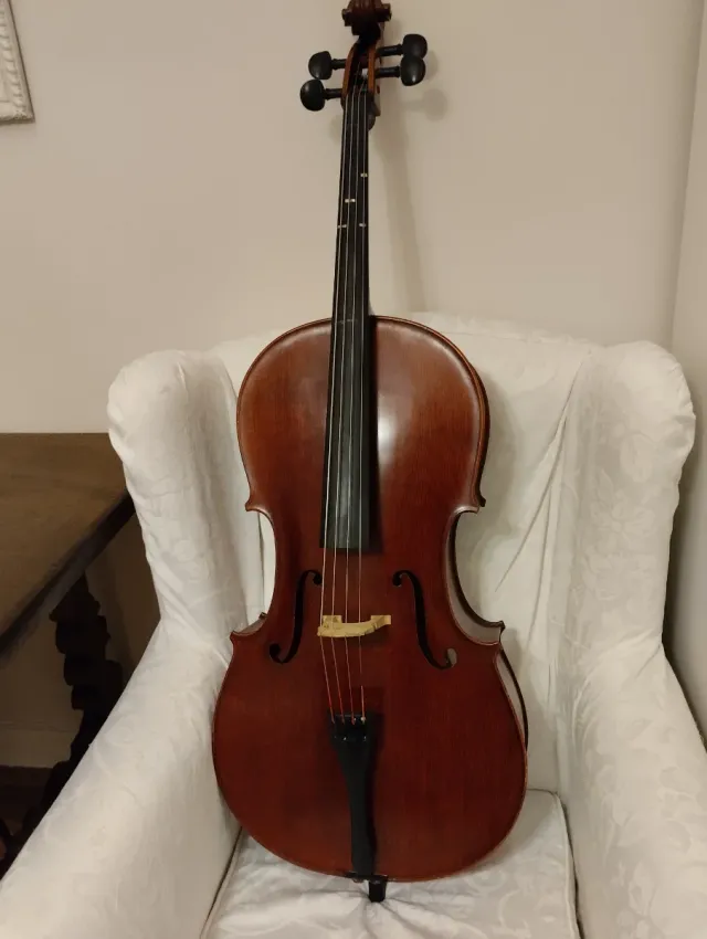 Violonchelo 3/4 con funda