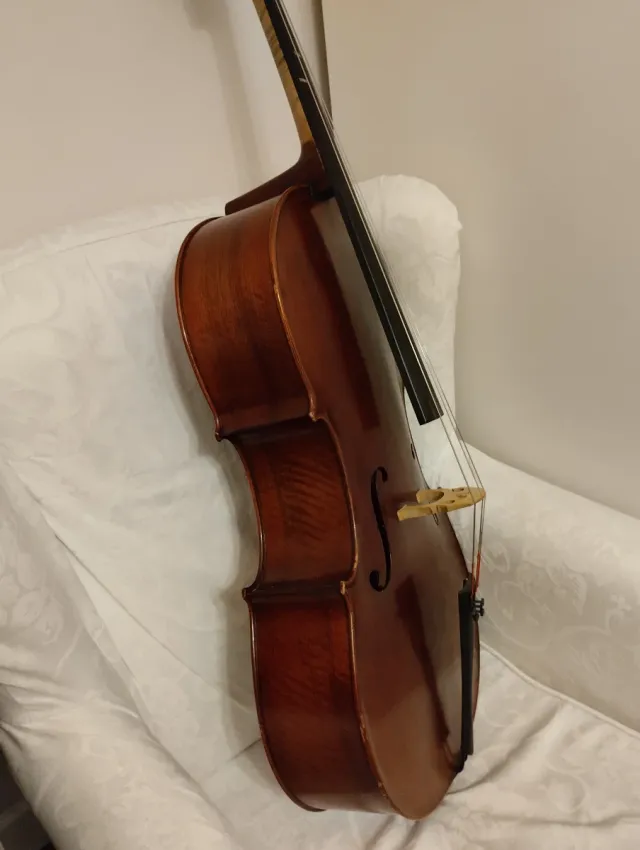 Violonchelo 3/4 con funda