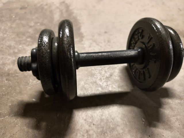 Mancuerna ajustable con discos