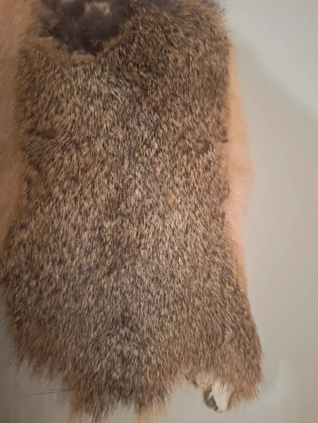 Piel de ardilla para montaje de moscas