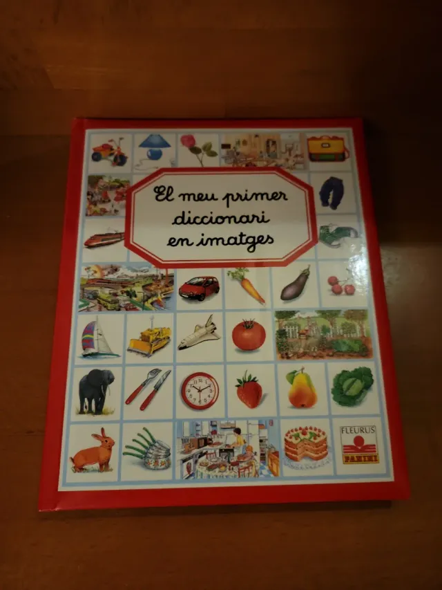 El meu primer diccionari en imatges