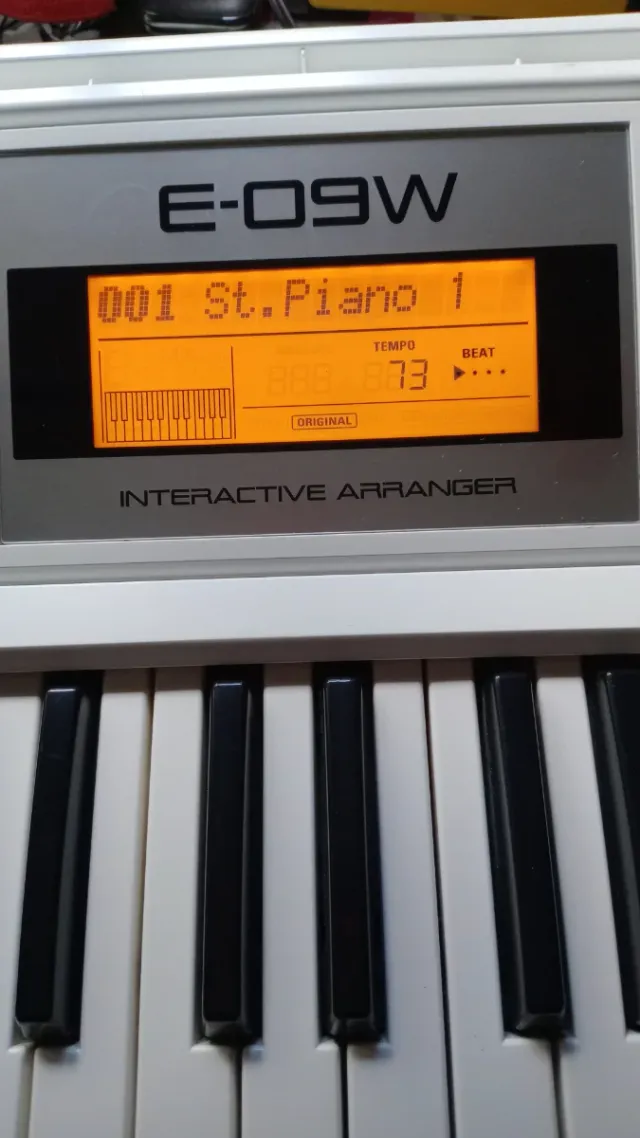 Roland E-09W Teclado Interactivo Blanco