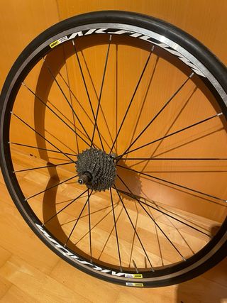 Rodillo Bkool + Alfombrilla + Rueda