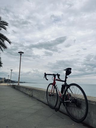 Bicicleta Carretera Trek Alpha 2.1 TALLA 54