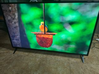 Smart TV LG 55 4K UHD SOLO HOY!!.