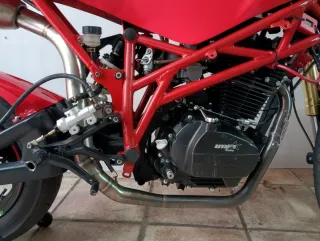 Minimoto de Circuito