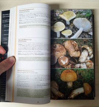 Guide des champignons France et Europe