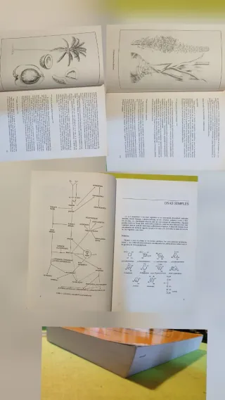 Libros varios, precios el de la descripción