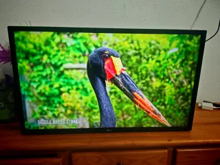 LG Smart TV 32 HD no tiene pata