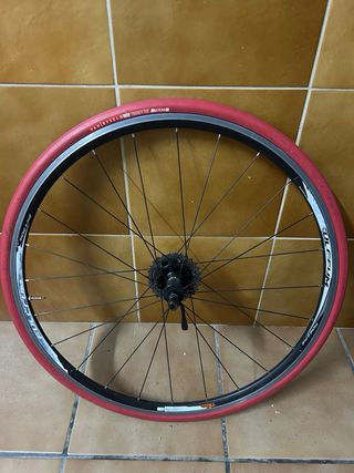 Rodillo Tacx Flow Smart