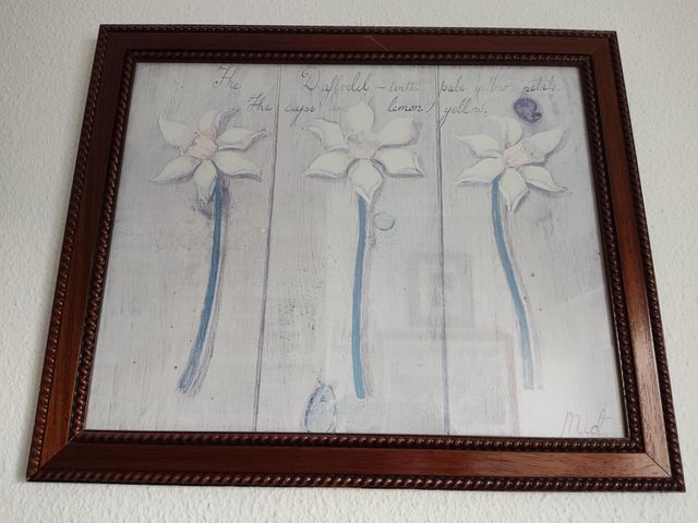 Lámina de flores enmarcada