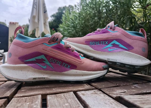 Nike Pegasus Trail 5 Gore-Tex Pink/Teal