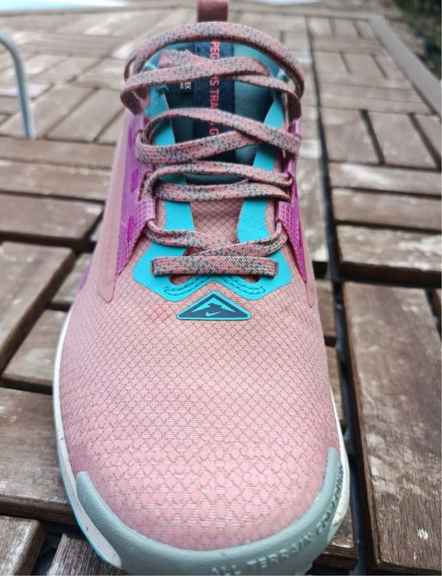 Nike Pegasus Trail 5 Gore-Tex Pink/Teal
