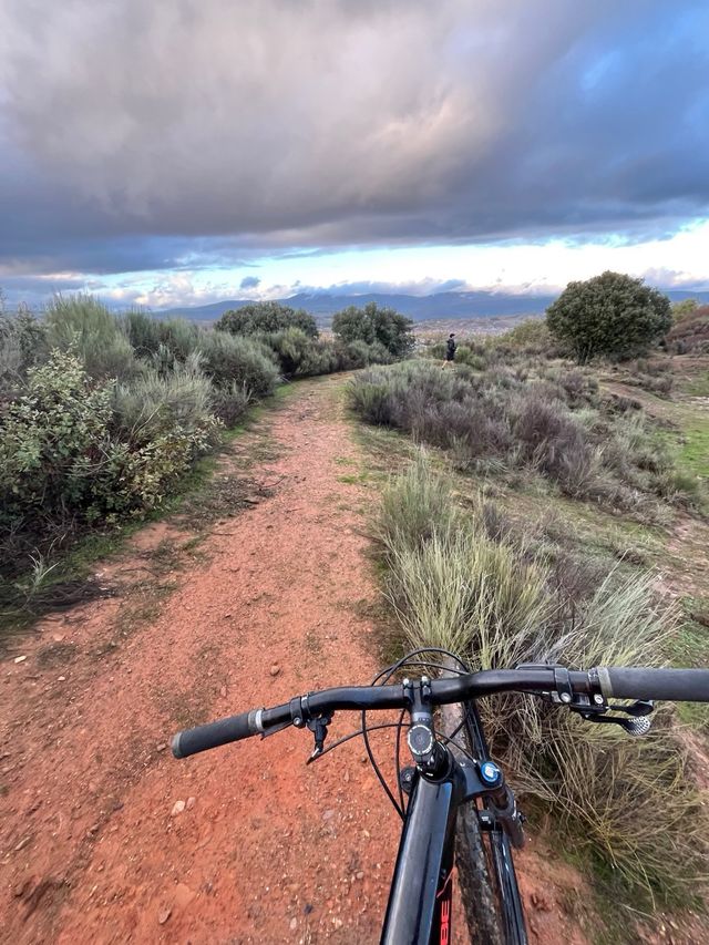 Bicicleta de Montaña Cube Negra