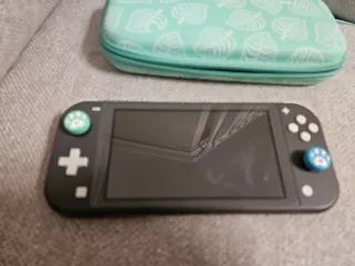 Nintendo Switch Lite Grigio + Custodia Verde