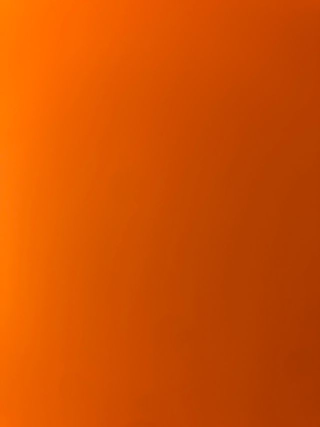 3 Asientos y bandeja trasera