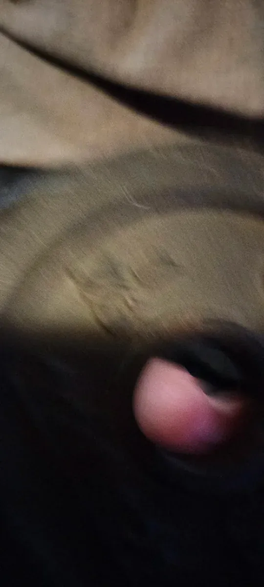 5 Pesas Decathlon 1kg y 2kg