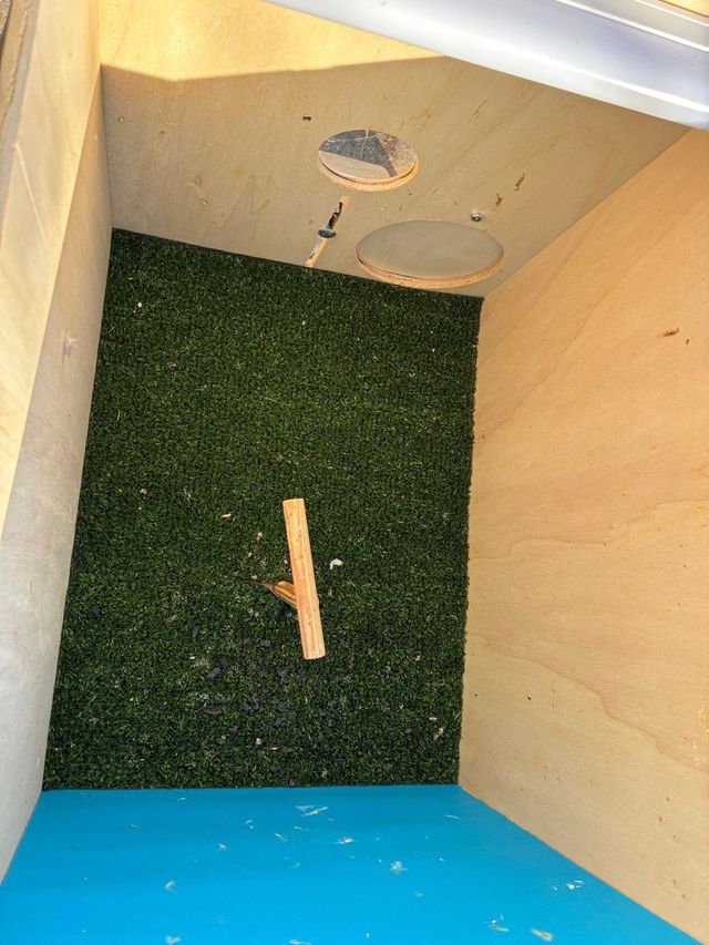 Caja de fotos para pájaros