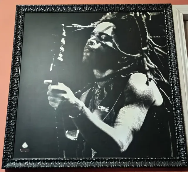 Cuadro Lenny Kravitz 1'30*1,30metros